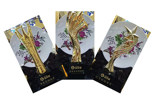 南京體驗(yàn)店榮譽(yù)